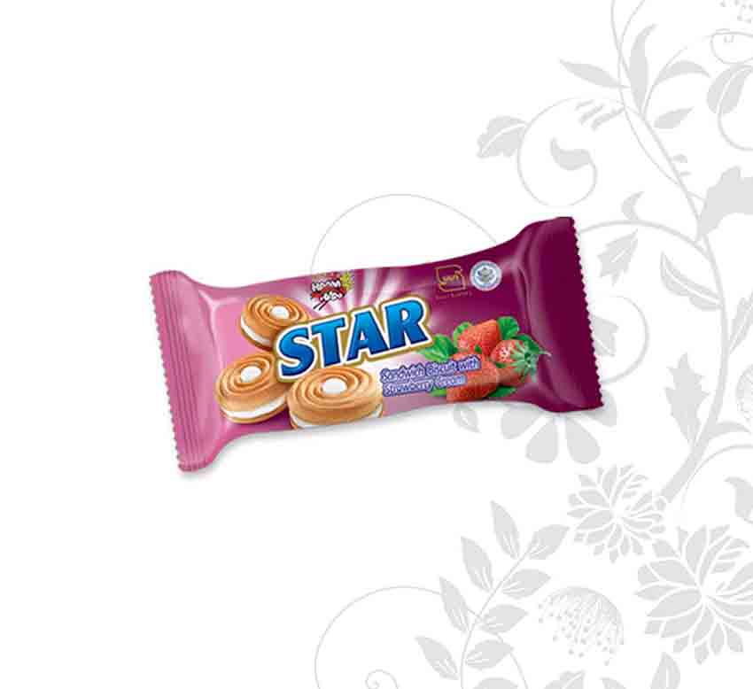 4 Pcs Biscuit Cream Star