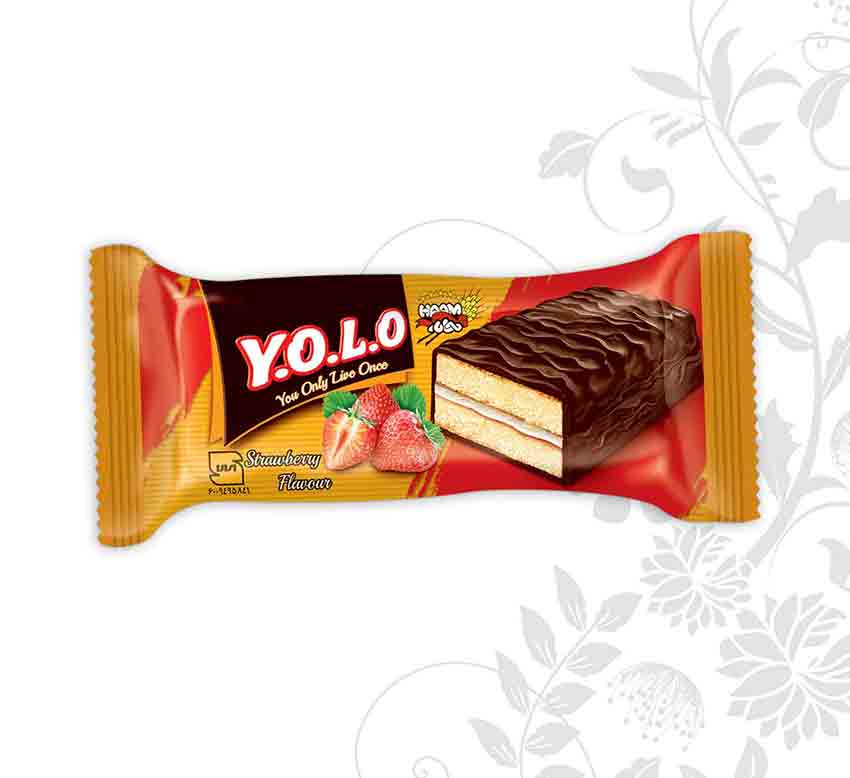 Chocolate YOLO Layer